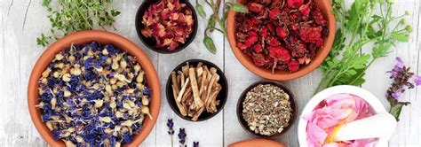 DIY Care: Home Remedies for Common Dental Issues | Best Dental Clinic ...