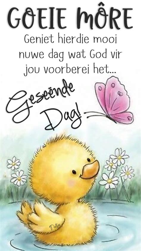 Geniet hierdie mooi nuwe dag wat God vir jou voorberei het Geseënde