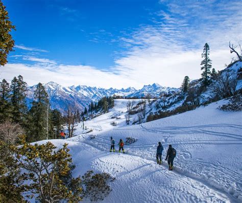 Top 5 Trekking Trails Around Naggar: A Hiker's Dream - Tree Of Life