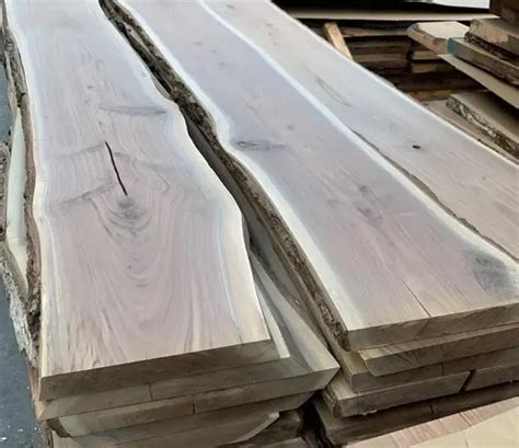 Manchurian Walnut Wood Forestry