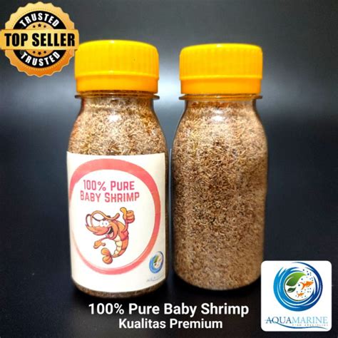 Jual Baby Shrimp Premium Asli Bayi Udang 100 Pure Super Real Baby