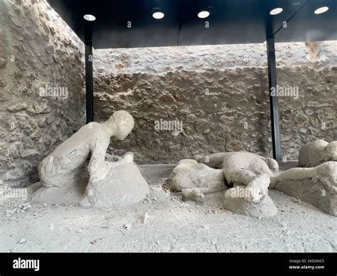 Resti Umani Archeologici Immagini E Fotografie Stock Ad Alta