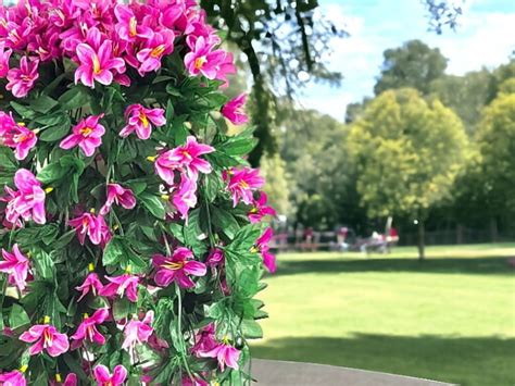 Pelargonie Liljowiec Surfinie Sztuczne Kwiaty Na Balkon Szt Griny