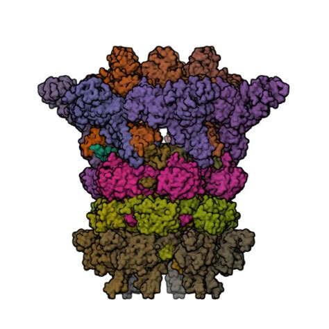 RCSB PDB 6J0N Cryo EM Structure Of An Extracellular Contractile