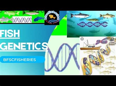 Fish Genetics Handbook Of Fisheries And Aquaculture Hybridization Jrf