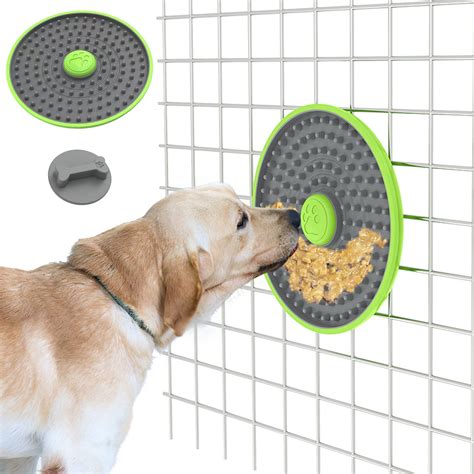 Why Do Puppies Lick Their Crate