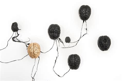 Brain Sculpture / Wall Artwork - Etsy