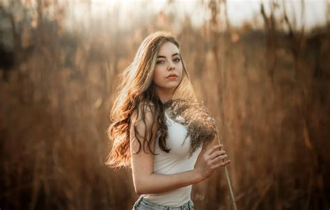 Wallpaper Field Grass Look The Sun Model Portrait Jeans Makeup