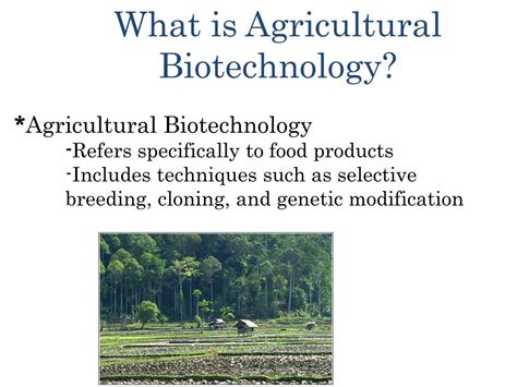 Ppt Agricultural Biotechnology Powerpoint Presentation Free Download Id 1604651