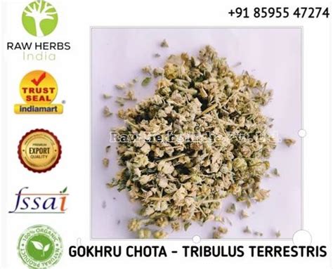 Gokhru Small Gokharu Chota Tribulus Terrestris Caltrops At Rs