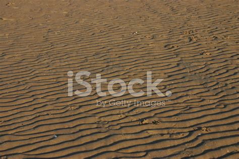 Sand Ripples Stock Photo Royalty Free Freeimages