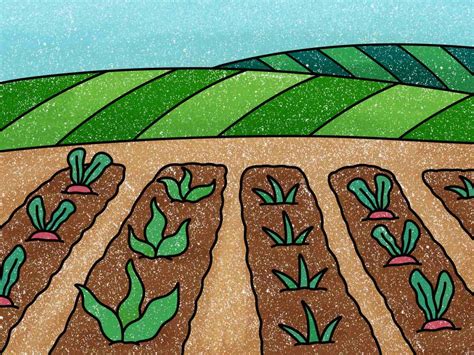 How To Draw A Farm Field Helloartsy