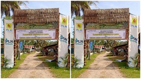 Eduekowisata Kampung Jenggalu Kito Pelestarian Mangrove Dan