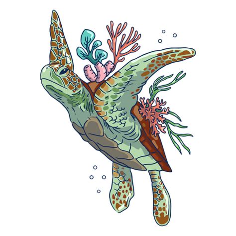 Diseños PNG de ocean fauna para camisetas Merch