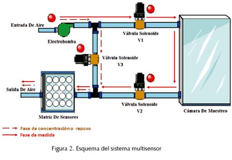 Nariz Electr Nica Para Determinar El Ndice De Madurez Del Tomate De