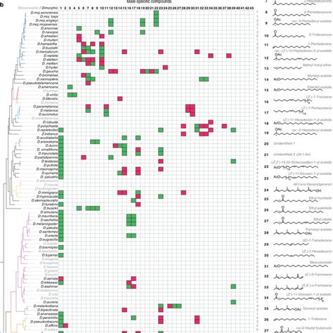 Newly Identified Potential Sex Pheromones A Representative Gas
