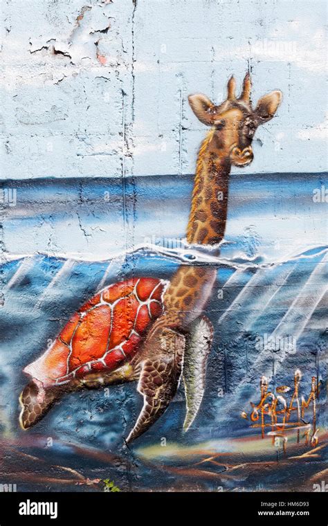 Giraffe swimming in the sea, graffiti, surreal, urban art, street Stock ...