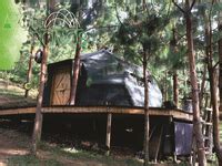 Domo Refugio Medellin Colombia En Madera Ideas Yurt Home Geodesic