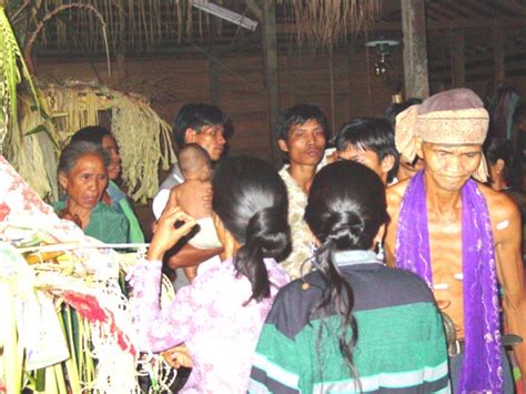 Ganal Aruh Ceremony The Expression Dayak Community Thanksgiving