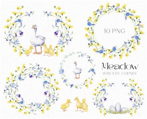 Watercolor Wild Flower Wreath Clipart Meadow Summer Wreaths Farm