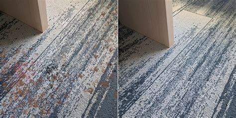 The Psychology Of Dirty Carpets Clean Spaces Impact Your Mood