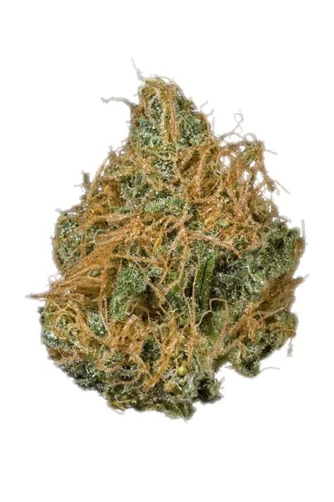 Nebula Weedpedia Coupons And Reviews