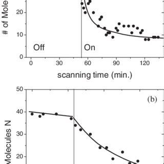 A An SEF Image Of A Layered Gold Nanostructure Adsorbed With CV The