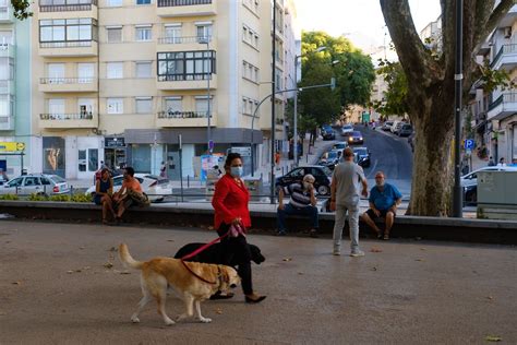 COVID 19 E ANIMAIS DE COMPANHIA Provedoria Dos Animais De Lisboa