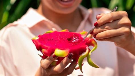 7 Surprising Dragon Fruit Benefits For Skin Revealed ⬅️