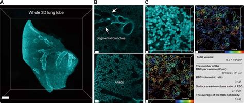 3DNFC Enables 3D Optical Imaging And The Volumetric Analysis Of