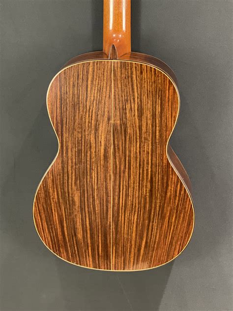 Michael Thames Spruce Fan Braced Classic Guitars International