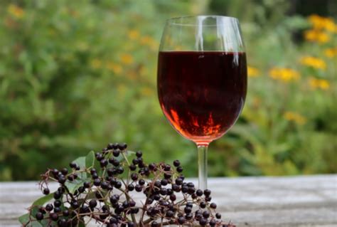 Elderberry Wine Recipe - Tannat Wine & Cheese