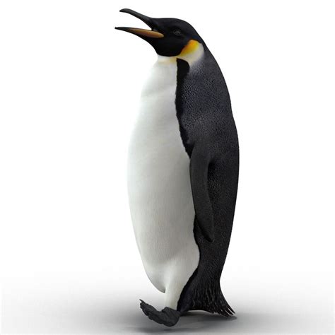 Pinguin Gehendes Modell Der Haltungs D D Modell Max Obj Ma