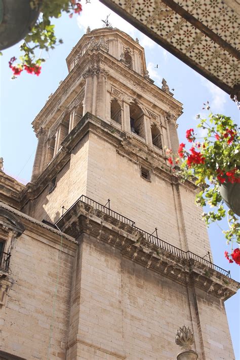 Vista De La Catedral David Segarra R Os Flickr