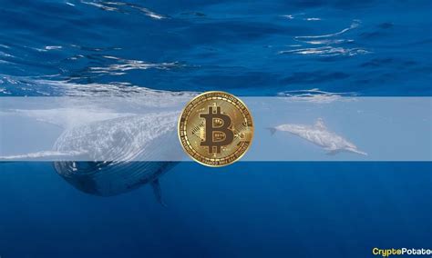 Bitcoin Whale Wakes Up After Years To Transfer Over M In Btc