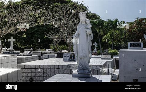 Photos Magnifiques Et Spectaculaires Du Cimetière Du Libéria à