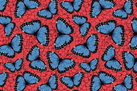 Buy Blue morpho butterflies wallpaper - Free shipping at Happywall.co.uk