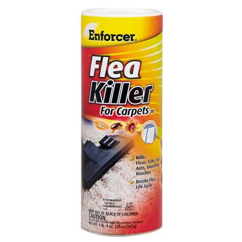 Flea Infestation In Carpet