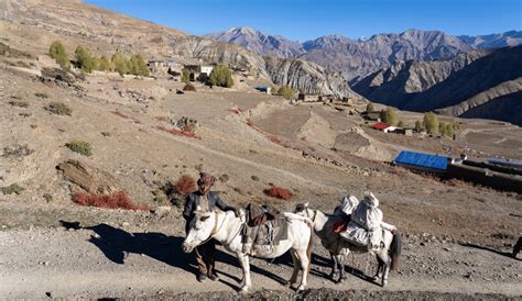 Best Time To Visit Dolpo Seasons Attractions Permits How To Reach