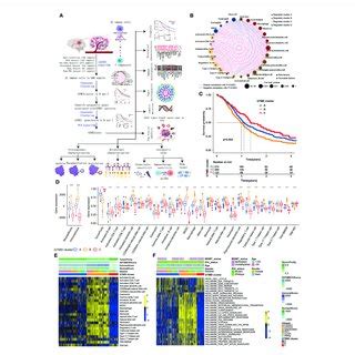 Landscape Of Immune Cell Infiltration And Clinicopathological