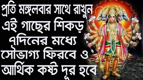 প্রতি মঙ্গলবার সাথে রাখুন এই গাছের শিকড় 7দিনের মধ্যে সৌভাগ্য ফিরবে ও