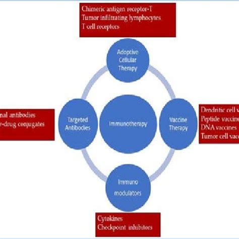 Immunotherapy Approaches For Cancer Treatment Immunomodulation Focuses