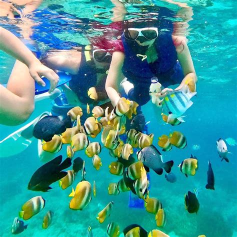 Snorkeling Blue Lagoon Love Bali Tour