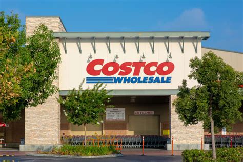 Costco Has Bonsai Trees for Only $23 Right Now | Apartment Therapy