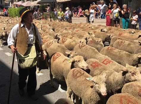 Transhumance, a part of France cultural heritage - France Today