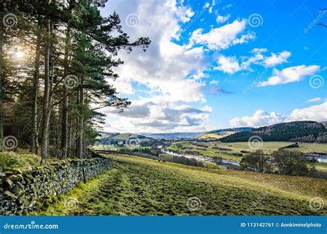 A View Of Spring Lawns Forests And Hills Of Cardrona Area Of Sc Stock