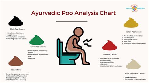 Ayurveda Stool Analysis: What Your Poop Says About Your, 58% OFF