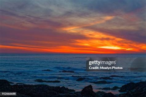 172 Asilomar Beach Stock Photos, High-Res Pictures, and Images - Getty ...