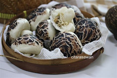 Pau Cendawan Mushroom Pau Resepi Terbaik