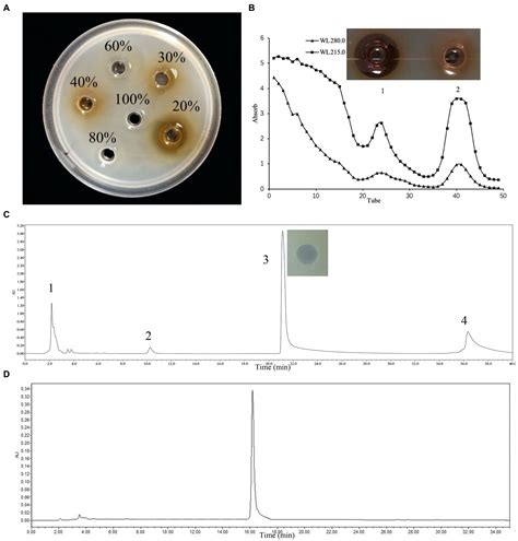 Frontiers Purification And Characterization Of Bacteriocin Produced